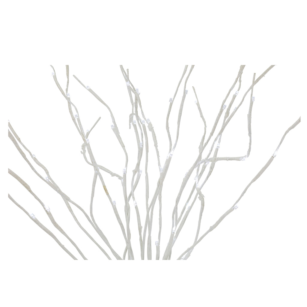 White Birch Branches, Bunches